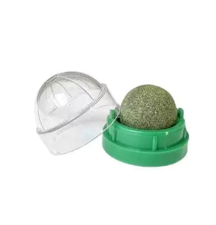 Catnip Spin Ball for Cats - Teeth Cleaning Toy (One Piece)