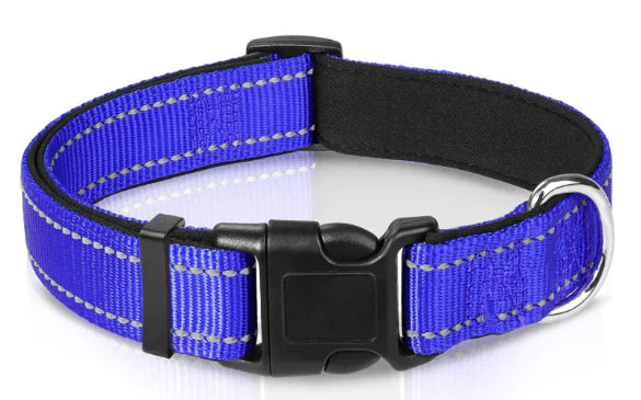 Reflective Sky Adjustable Dog Collar (One)