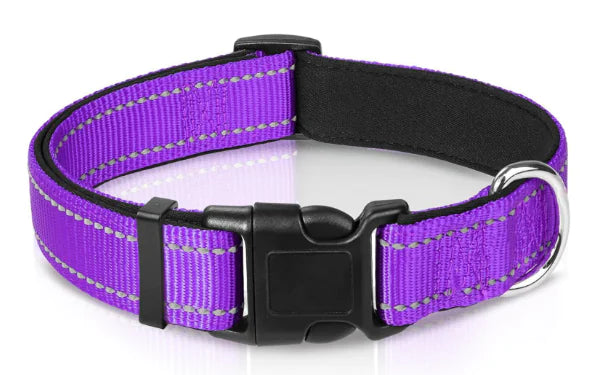Reflective Sky Adjustable Dog Collar (One)