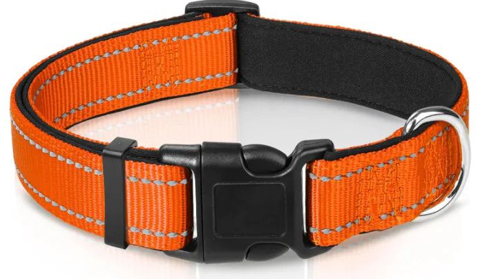 Reflective Sky Adjustable Dog Collar (One)