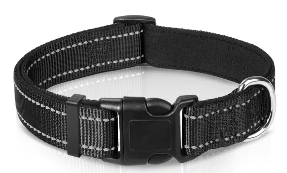 Reflective Sky Adjustable Dog Collar (One)