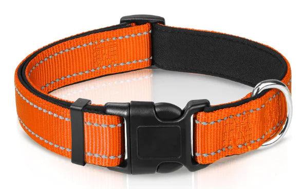 Reflective Sky Adjustable Dog Collar (One)